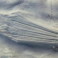 Sjors Creatief: Fossielen vol verhalen - Made